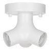 Bailey | Apparecchio da soffitto/parete | LED intercambiabile | 60W non dimmerabile