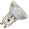 Bailey | Lampadina a LED | GU10 Fitting | Spot | 50mm | 4W