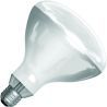 SPL | Lampada IR Lampada R/riflettore | Attacco grande E27 | 250W