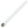 Philips | Raccordo G5 | tubo fluorescente | 16mm | 8W