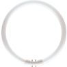 Philips | Raccordo 2GX13 | tubo fluorescente | 18mm | 23,5W Philips | Raccordo 2GX13 | tubo fluorescente | 18mm | 23,5W