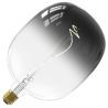Calex | Filamento LED | Attacco grande E27 | Lampada di design | 170mm | 5W Calex | Filamento LED | Attacco grande E27 | Lampada di design | 170mm | 5W