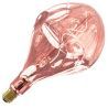 Calex | Filamento LED | Attacco grande E27 | Lampada di design | 165mm | 6W Calex | Filamento LED | Attacco grande E27 | Lampada di design | 165mm | 6W