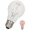 Bailey | Lampada LED | Attacco grande E27 | 4W (sostituisce 40W) Rosso Bailey | Lampada LED | Attacco grande E27 | 4W (sostituisce 40W) Rosso