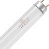 SPL | Tubo fluorescente | G13 Fitting | T8 | 10W | Lampada UV Blacklight per insetti | 33cm SPL | Tubo fluorescente | G13 Fitting | T8 | 10W | Lampada UV Blacklight per insetti | 33cm