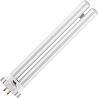 SPL | CFL | G10q4 Fitting | T6 | 15W | Lampada per insetti UV Blacklight | 20cm