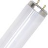 SPL | Tubo fluorescente | G13 Fitting | T12 | 20W | Lampada per insetti UV Blacklight | 59cm