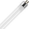 SPL | Tubo fluorescente | G10q4 Fitting | T5 | 6W | Blacklight | 23cm