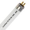 Lumilux T5 FH HE 14W - 830 Bianco caldo | 55cm
