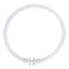 T5 Circline | 22W | 2GX13 raccordo | 840 Bianco freddo | 4-Pin | Φ230MM T5 Circline | 22W | 2GX13 raccordo | 840 Bianco freddo | 4-Pin | Φ230MM