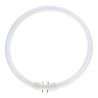 MASTER TL5C circolare 40W - 840 bianco freddo | 30cm