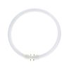 MASTER TL5C circolare 55W - 840 bianco freddo | 30cm
