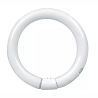 T9 Circline | 30W | G10Q | 840 Bianco freddo