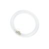 T9 Circline | 22W | G10Q | 830 Bianco caldo
