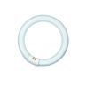 T9 Circline | 32W | G10Q | 830 Bianco caldo