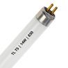 Fluorescente T5 | 14W | Raccordo G5 | 830 Bianco caldo | 55cm