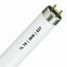 Fluorescente T8 | 36W | Raccordo G13 | 827 Bianco molto caldo | 120cm Fluorescente T8 | 36W | Raccordo G13 | 827 Bianco molto caldo | 120cm