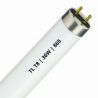 Fluorescente T8 | 36W | attacco G13 | 865 Daylight | 120cm