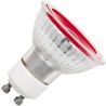 SPL | Lampadina LED | Raccordo GU10 | Spot | Rosso | 50mm | 5W