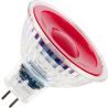 SPL | Lampadina a LED | GU5,3 Fitting | Spot | Red | 50mm | 5W SPL | Lampadina a LED | GU5,3 Fitting | Spot | Red | 50mm | 5W