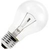 Lampadina | Attacco grande E27 | Forma standard | Luminosa | 55mm | 15W