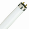 T8 Lumilux 36W - 865 Luce diurna | 120cm