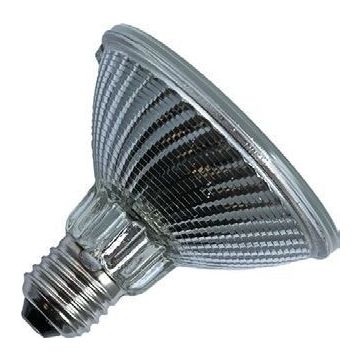 Lampada alogena | Attacco grande E27 | Spot | PAR30 | Luminosa | 96mm | 50W