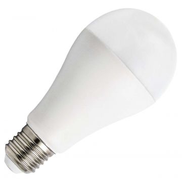 Bailey | Lampada LED | Grande attacco E27 | Lampada standard | 60mm | 15W